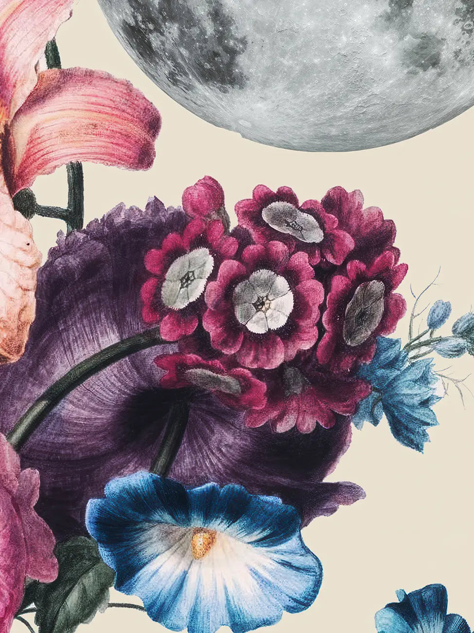 Ти си магия