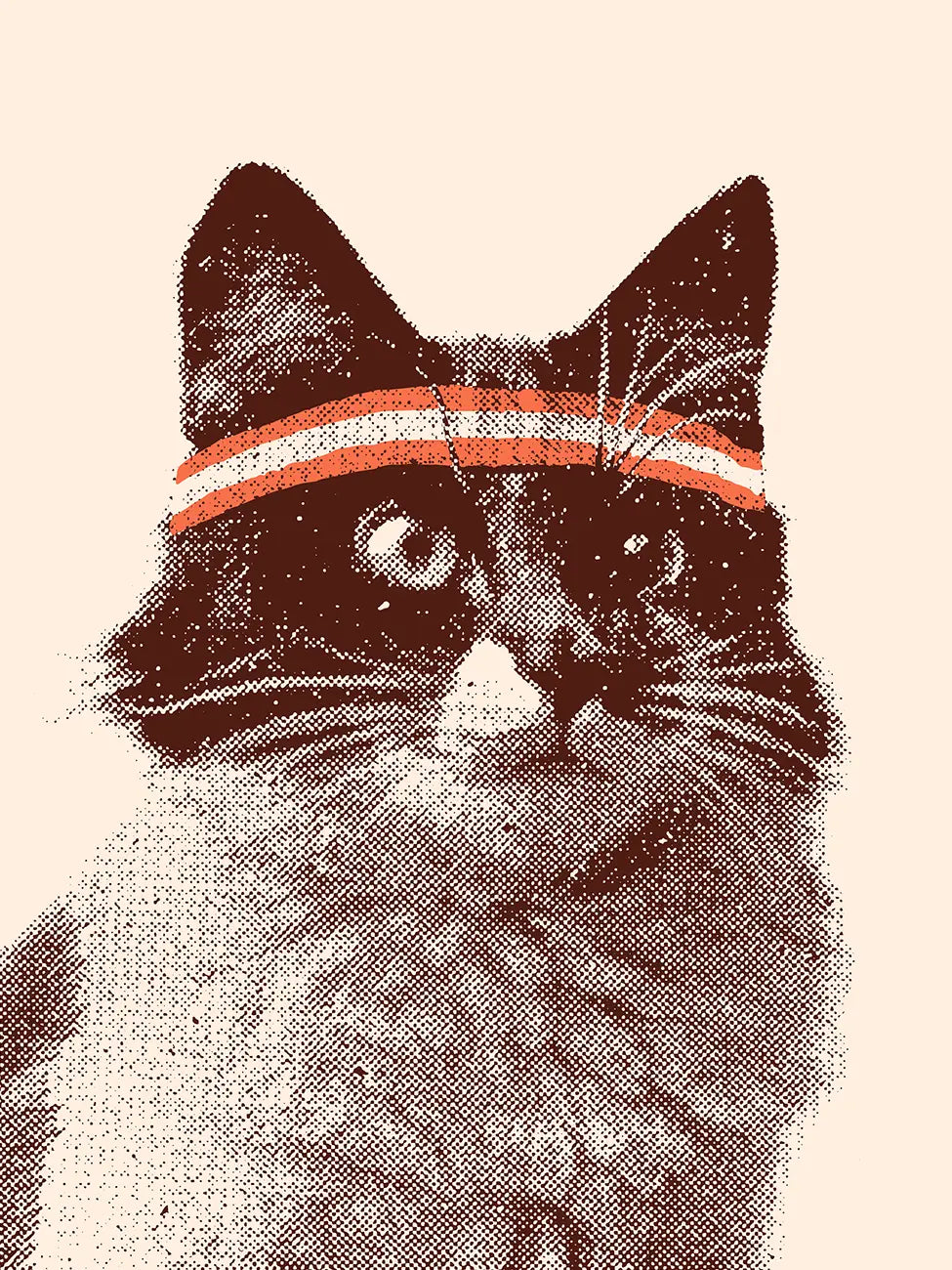 Tennis Cat