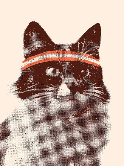 Tennis Cat
