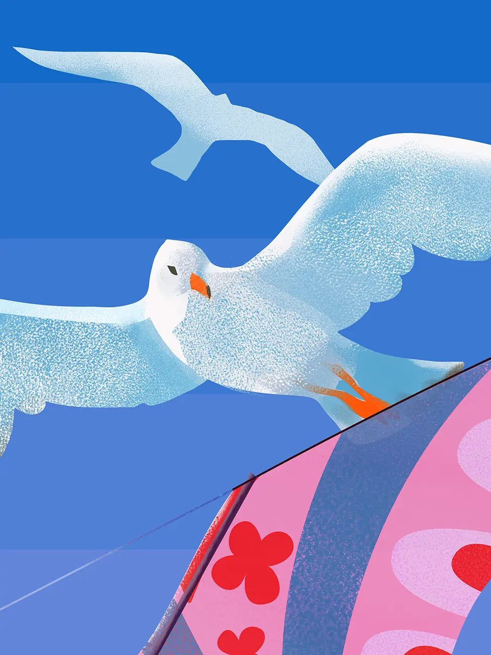 The Pink Kite