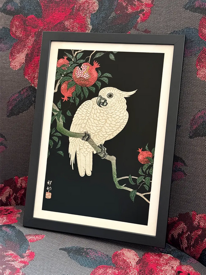 Cockatoo and Pomegranate